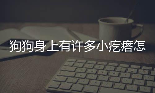 狗狗身上有許多小疙瘩怎么回事？狗狗身上有許多小疙瘩很癢