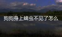 狗狗身上蜱蟲不見了怎么辦？狗狗身上蜱蟲不見了會死嗎