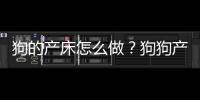 狗的產床怎么做？狗狗產床尺寸設計圖與材料