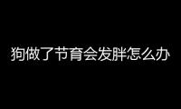 狗做了節育會發胖怎么辦嗎？狗節育后會胖嗎