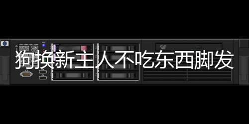 狗換新主人不吃東西腳發軟