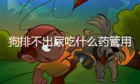 狗排不出尿吃什么藥管用？狗排不出尿吃什么藥效果好