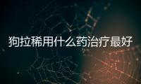 狗拉稀用什么藥治療最好(狗狗拉稀嘔吐是怎么回事)