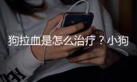 狗拉血是怎么治療？小狗拉血怎么治療