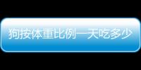 狗按體重比例一天吃多少錢的狗糧(狗按體重比例一天吃多少錢的食物)