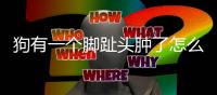 狗有一個腳趾頭腫了怎么回事啊(狗狗一個腳趾紅腫是什么原因)