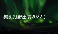 狗頭打野出裝2022（狗頭打野出裝）