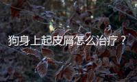 狗身上起皮屑怎么治療？狗身上起皮屑怎么治好