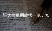 狂犬病早期癥狀一覽，怎樣預(yù)防狂犬病才是關(guān)鍵