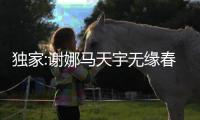 獨(dú)家:謝娜馬天宇無緣春晚 呂逸濤:劇本弱【娛樂新聞】風(fēng)尚中國網(wǎng)