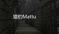 獵豹Mattu