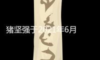 豬堅強于2021年6月16日晚10點50分因年老衰竭往生了