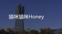 貓咪貓咪Honey