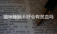 貓咪睡眠不好會有貧血嗎為什么？貓睡眠不足會怎樣