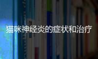 貓咪神經炎的癥狀和治療方法(貓咪脊椎神經炎的癥狀)