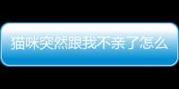 貓咪突然跟我不親了怎么回事(貓咪突然不跟你睡了)