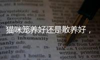 貓咪籠養(yǎng)好還是散養(yǎng)好，貓咪籠養(yǎng)和散養(yǎng)的區(qū)別