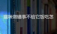 貓咪做錯事不給它飯吃怎么辦(貓犯錯誤不給飯吃)