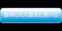 貓咪吃化毛膏就吐是什么原因(貓咪可以吃小黃魚(yú)干嗎)