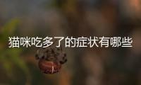 貓咪吃多了的癥狀有哪些(貓咪吃多了吐了需要禁糧么)