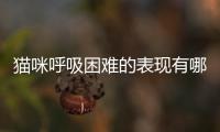 貓咪呼吸困難的表現(xiàn)有哪些？貓咪呼吸困難的表現(xiàn)和處理