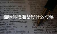 貓咪體檢準備好什么時候做？貓咪體檢需要注意什么