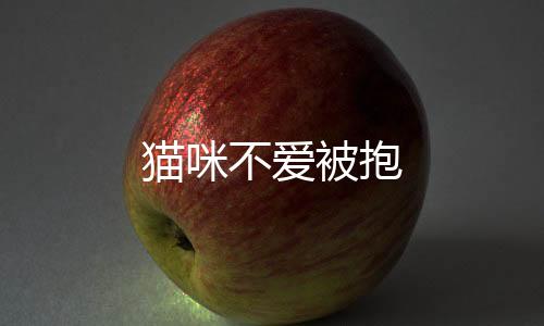 貓咪不愛(ài)被抱