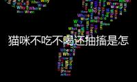 貓咪不吃不喝還抽搐是怎么了呢？貓不吃東西抽搐是怎么回事