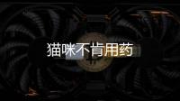 貓咪不肯用藥