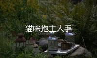 貓咪抱主人手