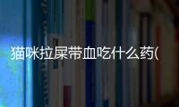 貓咪拉屎帶血吃什么藥(貓咪拉稀帶血吃什么藥)