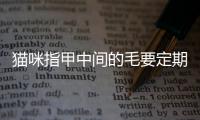 貓咪指甲中間的毛要定期修剪嗎？貓咪指甲縫里的毛需要剪嗎