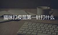 貓咪打疫苗第一針打什么針好？貓咪打第一針疫苗是什么疫苗