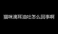 貓咪滴耳油吐怎么回事啊？給貓咪滴耳液會(huì)嘔吐嗎