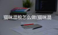 貓咪濕糧怎么做(貓咪混糧好不好)