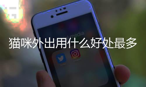 貓咪外出用什么好處最多？貓咪外出需要注意什么