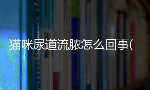 貓咪尿道流膿怎么回事(貓咪尿道流膿用什么藥)