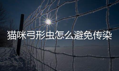 貓咪弓形蟲怎么避免傳染？貓咪弓形蟲怎么避免傳染給人