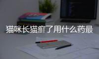 貓咪長貓癬了用什么藥最好(貓咪長了貓癬用什么藥)