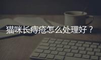 貓咪長(zhǎng)痔瘡怎么處理好？貓咪長(zhǎng)痔瘡是什么癥狀