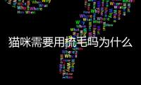 貓咪需要用梳毛嗎為什么？貓咪需要梳毛么