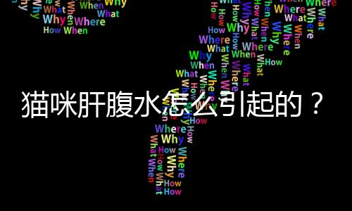 貓咪肝腹水怎么引起的？貓咪肝腹水的早期癥狀表現(xiàn)有哪些