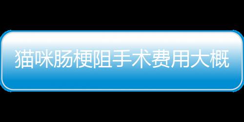 貓咪腸梗阻手術費用大概多少錢(貓咪腸梗阻手術風險大嗎)