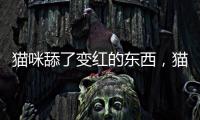 貓咪舔了變紅的東西，貓咪舔了變紅了怎么辦
