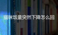 貓咪飯量突然下降怎么回事？貓咪飯量下降但很精神