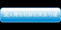 貓頭鷹秘籍解鎖美食與健康的黃金組合！