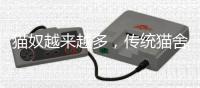 貓奴越來(lái)越多，傳統(tǒng)貓舍卻開(kāi)不下去了？