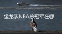 猛龍隊(duì)NBA總冠軍在哪一年：揭開歷史的背后，重現(xiàn)輝煌歲月