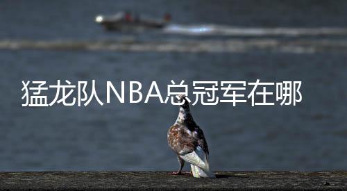 猛龍隊(duì)NBA總冠軍在哪一年：揭開(kāi)歷史的背后，重現(xiàn)輝煌歲月