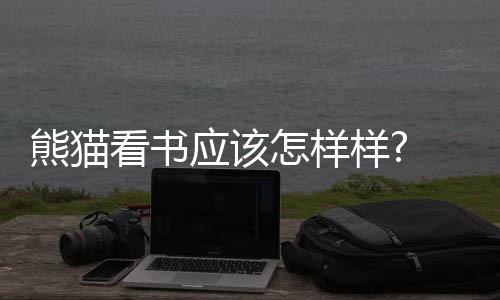 熊貓看書應該怎樣樣? 熊貓看書好用嗎